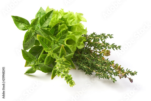 Fresh spices and herbs bouquet, isolated on white background. Dill, lettuce, thyme, sage. Isolated on white background.