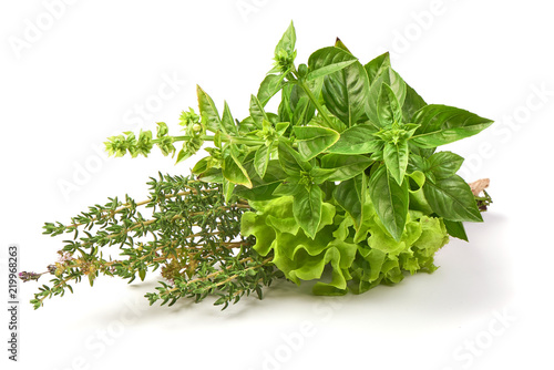 Fresh spices and herbs bouquet, isolated on white background. Dill, lettuce, thyme, sage. Isolated on white background.
