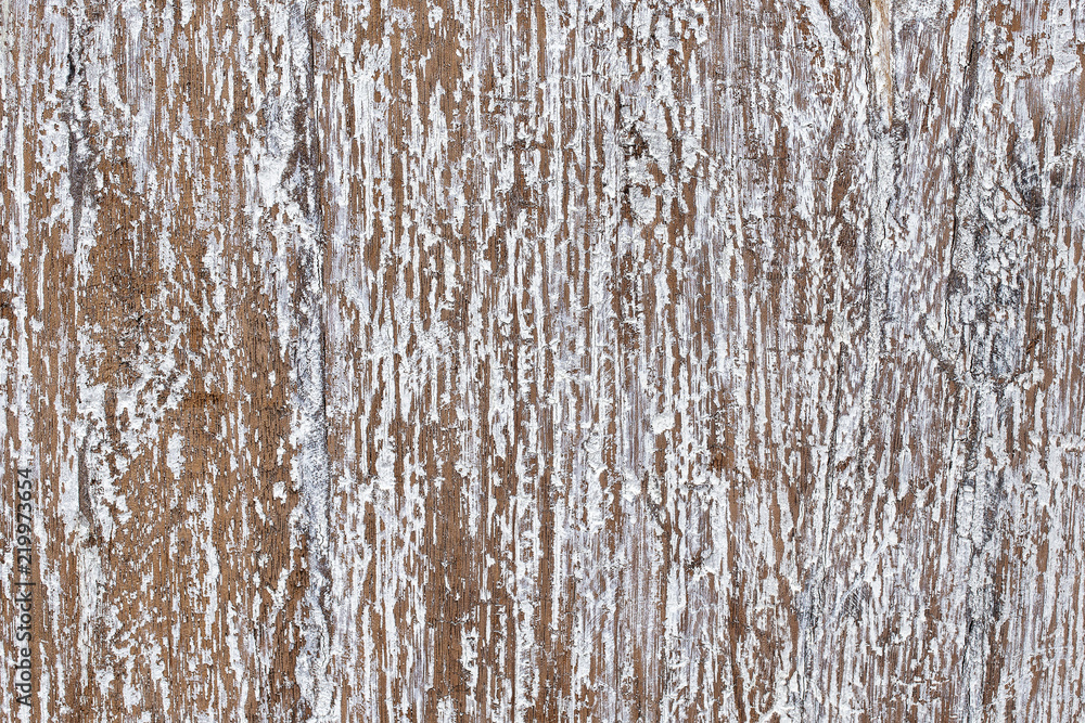 Obraz premium Background old natural wood grunge texture