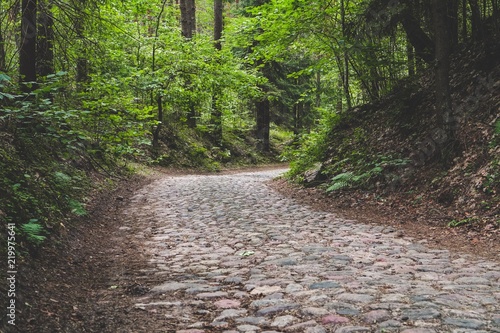 Old cobblestone road and corner in deep forest