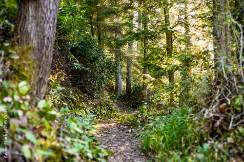 hiking trail