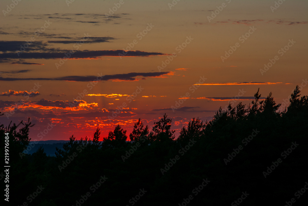 Red Sun Setting Behind a Forest Red Sun Setting Behind a Forest
