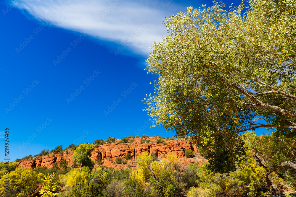 Arizona desert landscape of Sedona, Arizona in the fall.