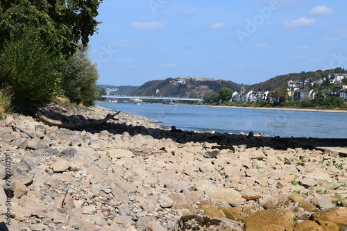 Rhienstrand Oberwerth bei Niedrigwasser, Koblenz 2018 photo