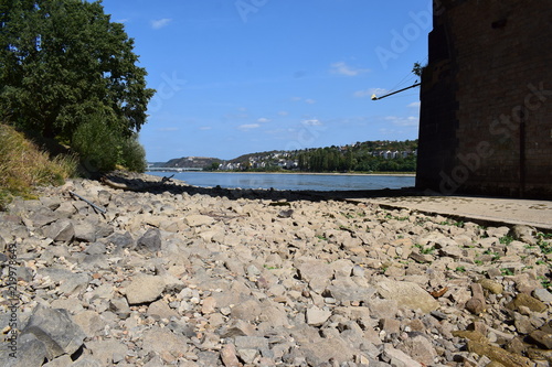 Rhienstrand Oberwerth bei Niedrigwasser, Koblenz 2018 photo