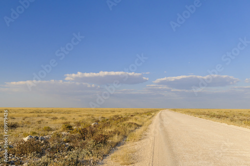 African savannah landscape with straight road / African savanna landscape with straight road to the horizon, Namibia, Africa.