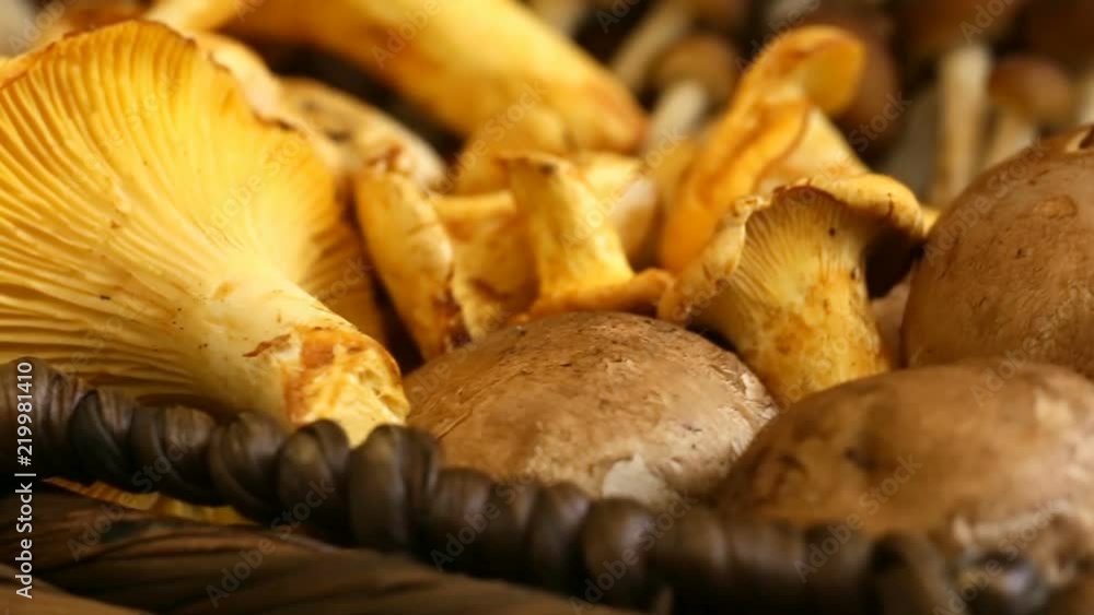 Variety of uncooked wild forest mushrooms in a wicker basket on a black background, Rotation 360. Mushrooms chanterelles, honey agarics, oyster mushrooms, champignons, portobello, shiitake Variety of uncooked wild forest mushrooms in a wicker basket on a black background, Rotation 360. Mushrooms chanterelles, honey agarics, oyster mushrooms, champignons, portobello, shiitake