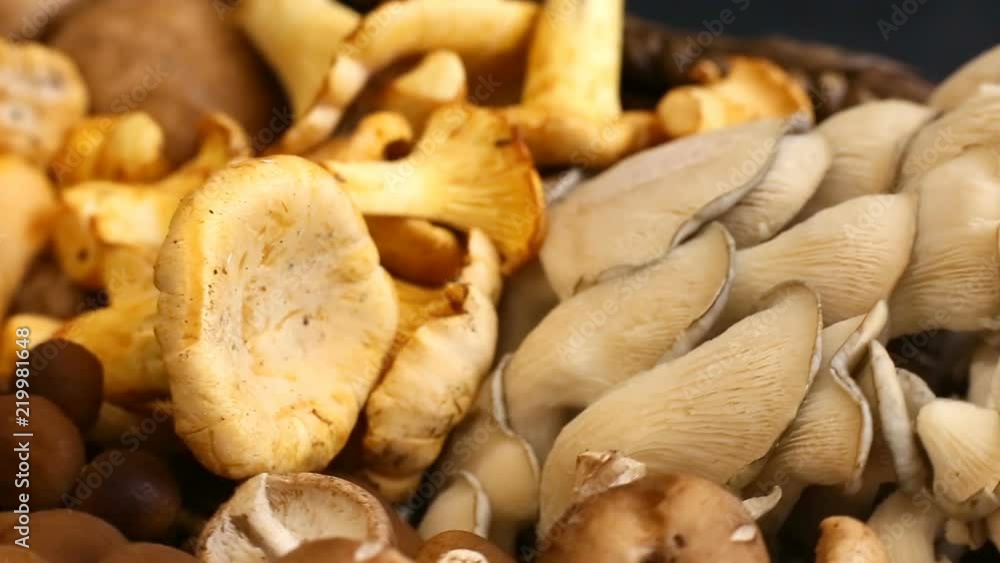 Variety of uncooked wild forest mushrooms in a wicker basket on a black background, Rotation 360. Mushrooms chanterelles, honey agarics, oyster mushrooms, champignons, portobello, shiitake Variety of uncooked wild forest mushrooms in a wicker basket on a black background, Rotation 360. Mushrooms chanterelles, honey agarics, oyster mushrooms, champignons, portobello, shiitake