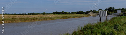 Le long de la SEUDRE (Charente Maritime) photo