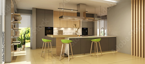 Modern kitchen interior 
