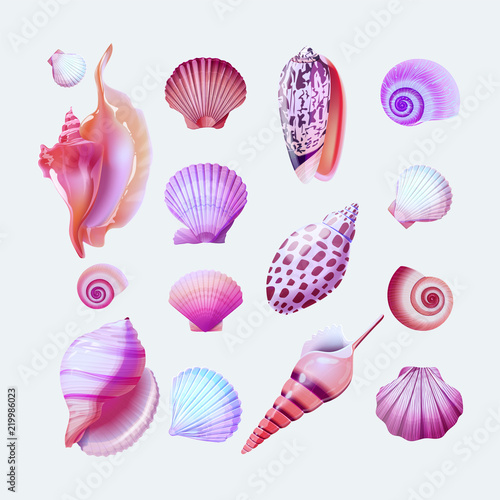 Seashells set