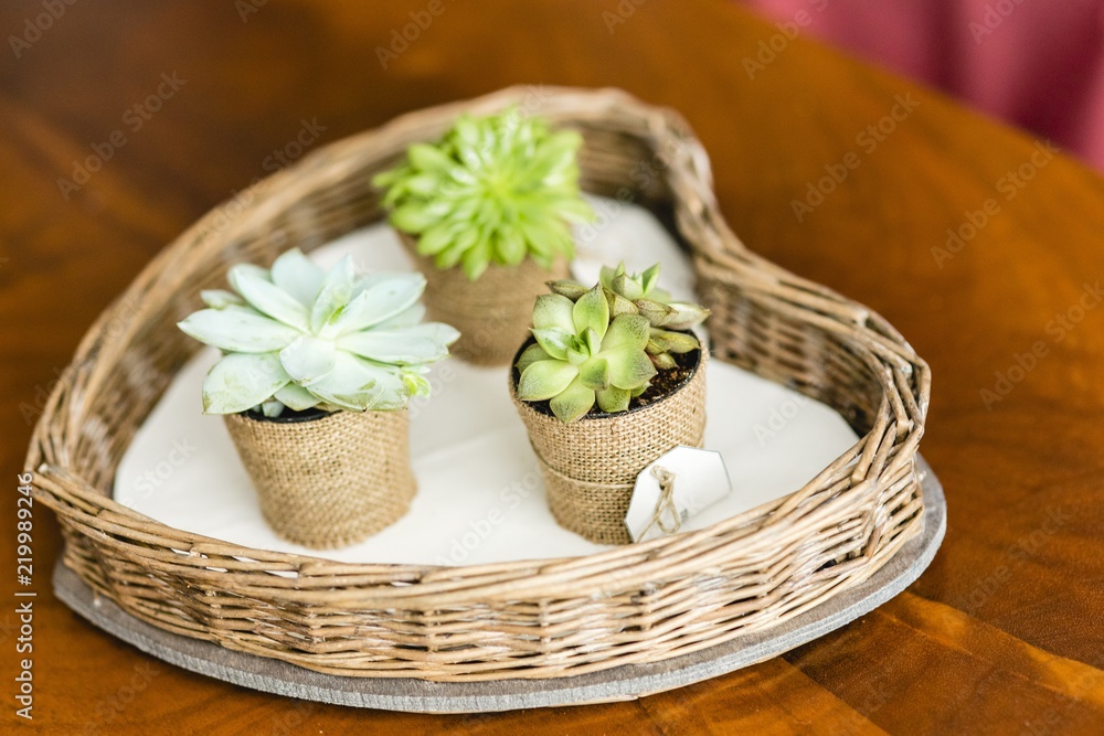 Decoration objects for events and weddings in rural and retro style. Decoration objects for events and weddings in rural and retro style.