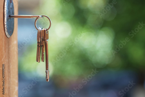 Key in door lock