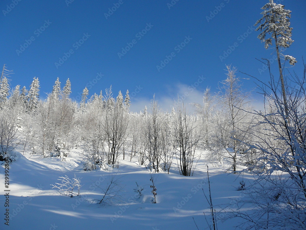 Winter in Krkonose mountains, winter scenery Winter in Krkonose mountains, winter scenery