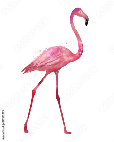 Pink flamingo, watercolor