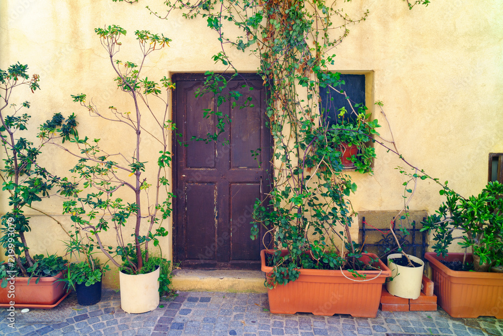 Antibes, France (French Riviera, Azure Coast). Traditional classic style medieval vintage facade with brown doors. Green plants in pots near stone wall..