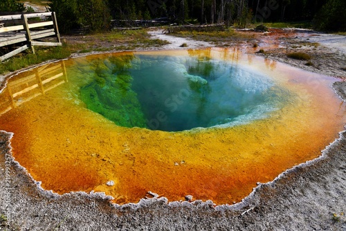 Morning Glory Pool in the Upper Geyser Basin in Yellowstone National Park, Wyoming, USA
