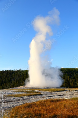 Old Faithful in Yellowstone national park, Wyoming, USA