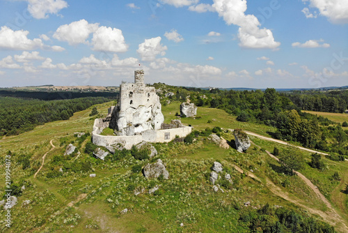 Mirów Castle. photo