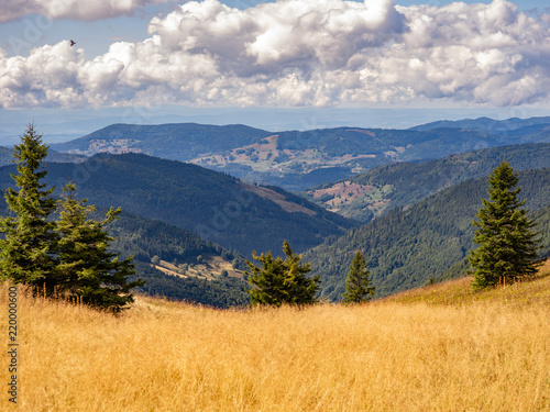 Blick vom Feldberg