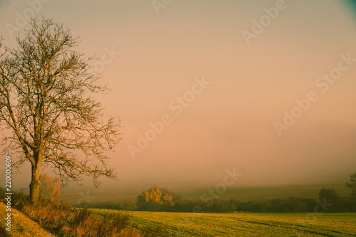 Country field landscape on autumn day