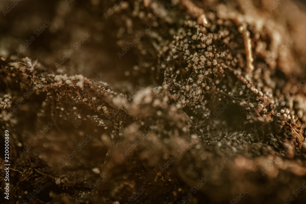macro macro