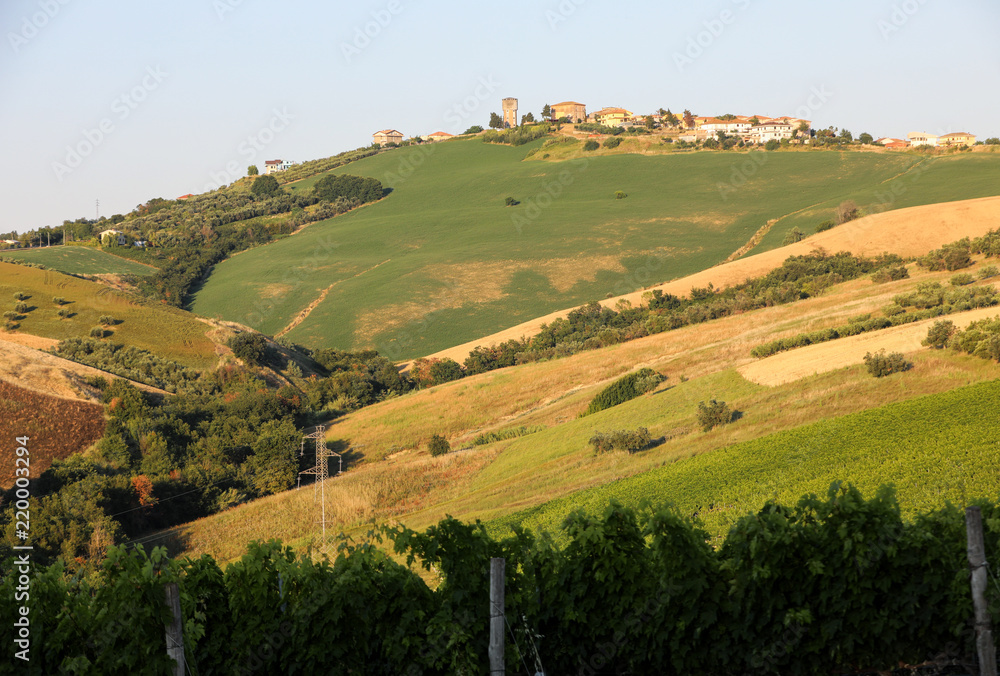 Panoramic view of olive groves, vineyards and farms on rolling hills of Abruzzo. Italy