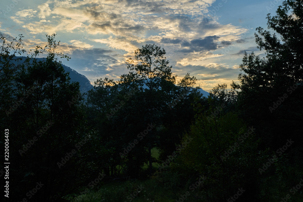 Baumsilhouette in der Abenddämmerung