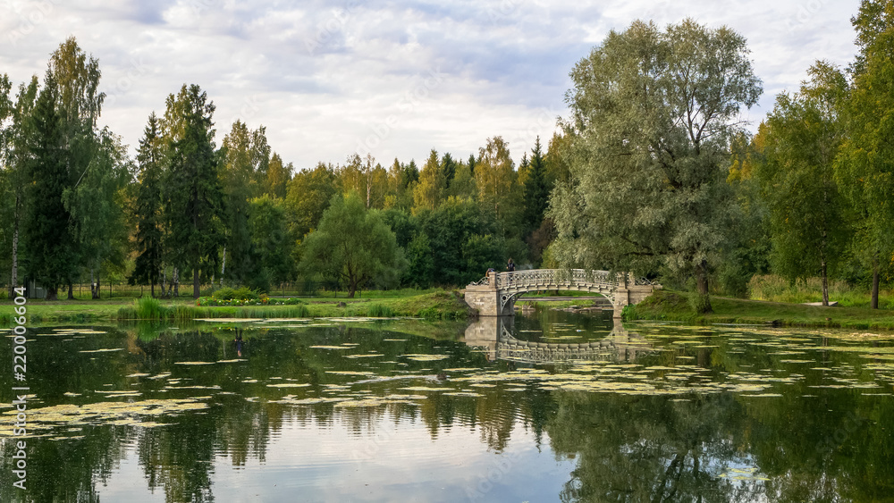 The idyll of the peaceful lake with the old bridge in green Park.