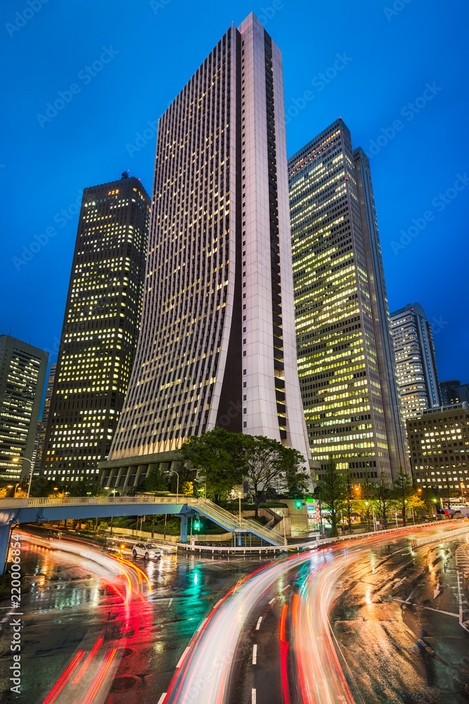 Fototapeta premium Nocna linia horyzontu w Shinjuku okręgu w Tokio, Japonia