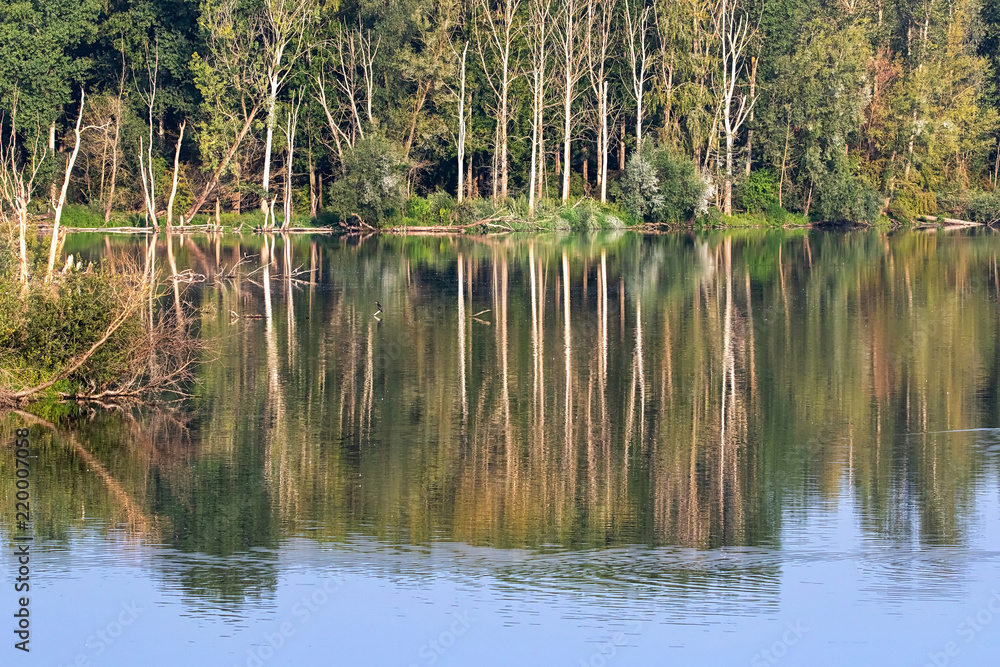 Wasserspiegelung