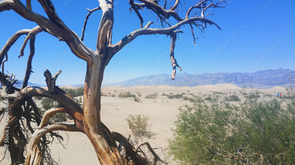 In the Death Valley, California