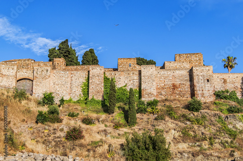 External view of Alcazaba Walls - palatial fortress in Malaga built in XI century. Fortress palace  whose name in Arabic means citadel  is one of city s historical monuments. Malaga  Andalusia  Spain.