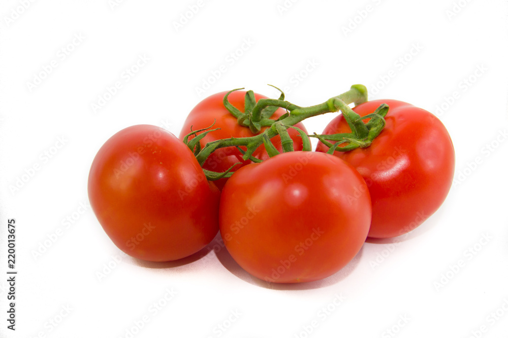 Tomatoes on a branch isolated on white background. Vegetables on a white background. Food . Healthy eating. Tomatoes on a branch isolated on white background. Vegetables on a white background. Food . Healthy eating.