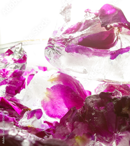 Wallpaper Mural Frozen beautiful pink flower blooms in ice cube Torontodigital.ca