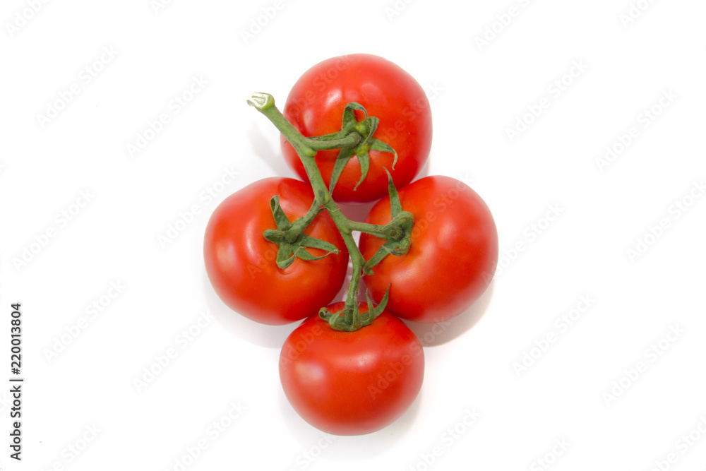 Tomatoes on a branch isolated on white background. Vegetables on a white background. Food . Healthy eating. Tomatoes on a branch isolated on white background. Vegetables on a white background. Food . Healthy eating.