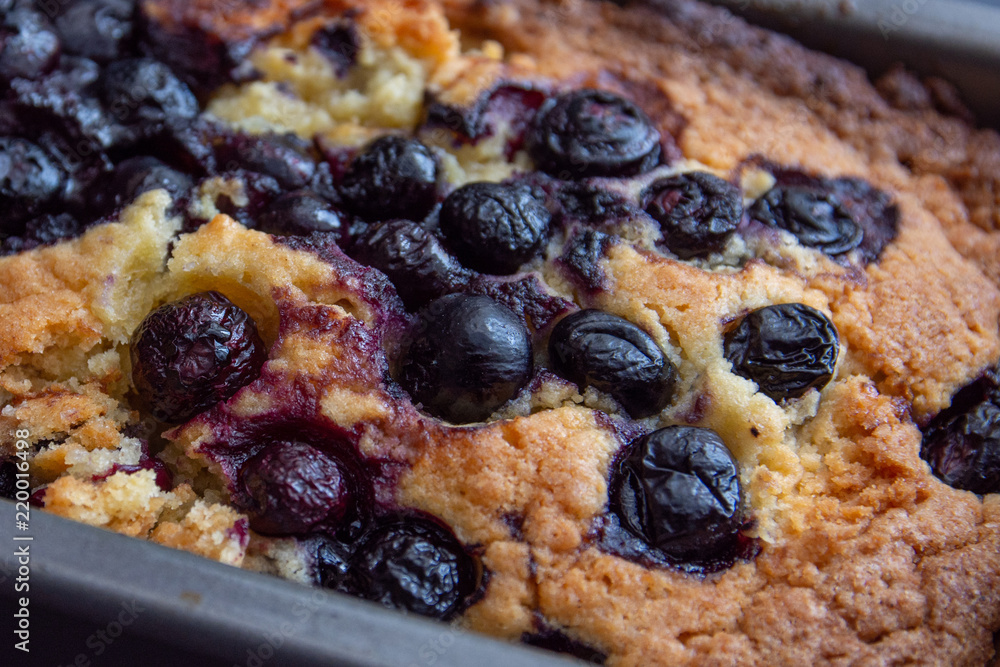 Close up of a Fresh Blueberry Loaf Cake Close up of a Fresh Blueberry Loaf Cake