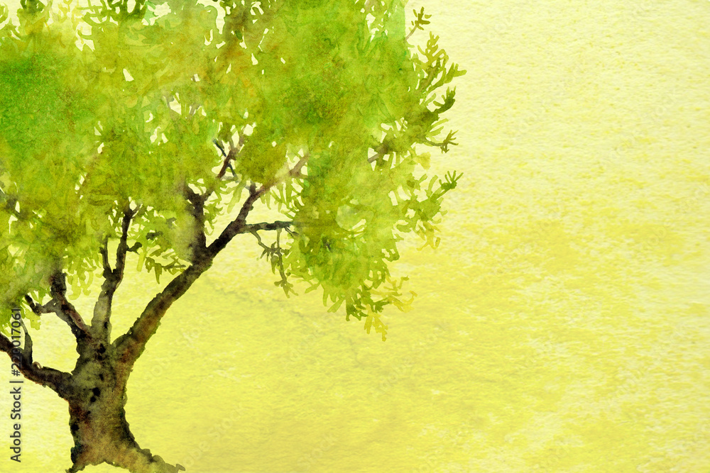 Obraz zielony ombre akwarela krajobraz tekstury tła z drzewa
