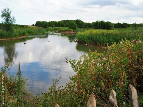 Pond in Waters' Edge Country Park, North Lincolnshire, England photo