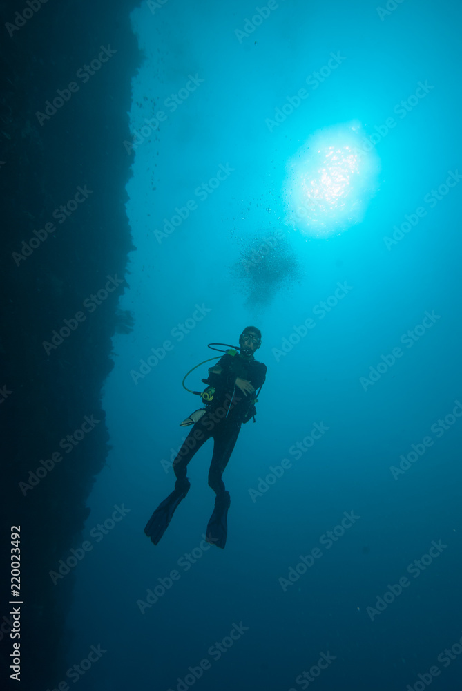 Scuba Divers Scuba Divers