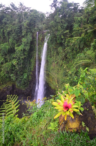 Sopoaga falls, Samoa photo