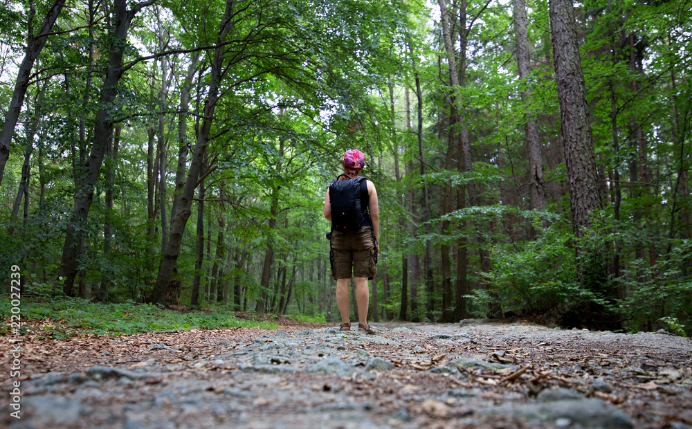 Fototapeta premium Female traveler on a trail in the forest, Poland