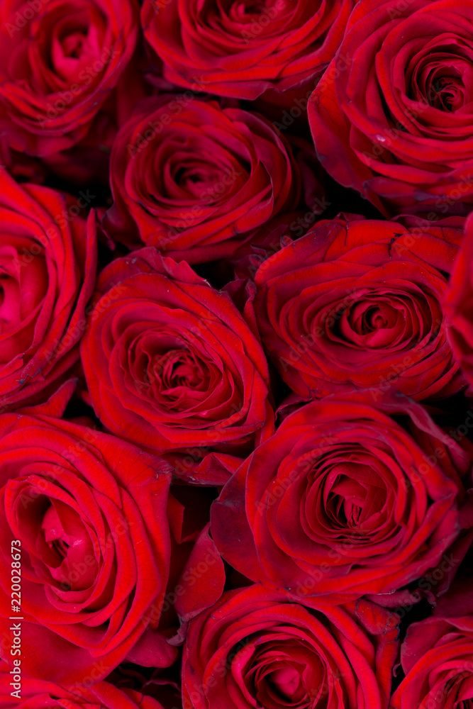 Roses in a bouquet for holidays Roses in a bouquet for holidays
