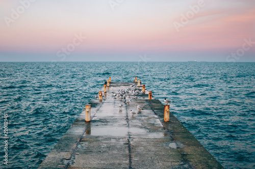 Amazing view on sea concrete pier with flock of seagulls