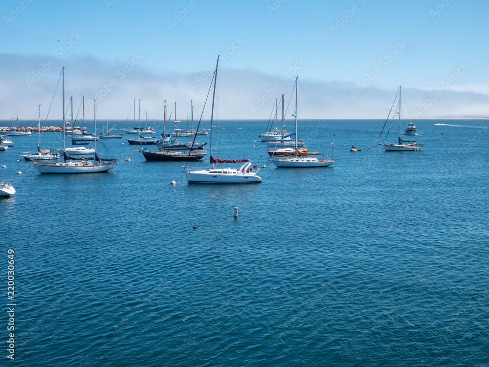 Picture of Sail Boats on Ocean with Tour Boat Approaching