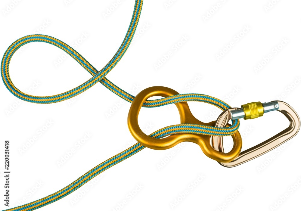 Carabiner and Ropes with Descender Isolated Stock Photo Adobe Stock