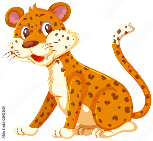A leopard on white background