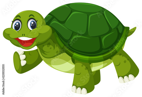 A green turtle on white background