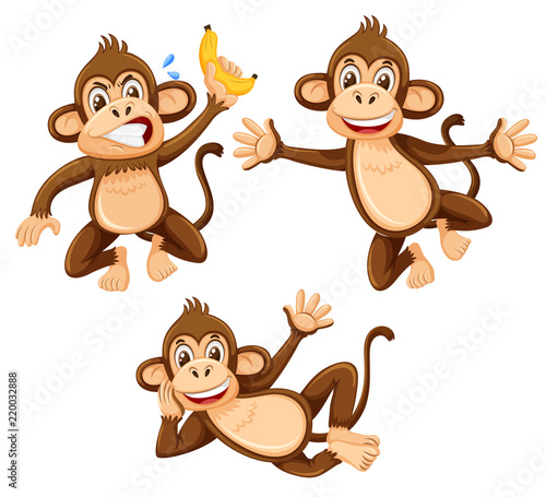 A set of monkey on white background