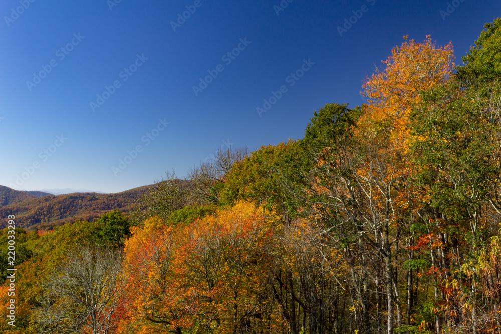 View of bright autumn foliage on mountains, horizontal aspect